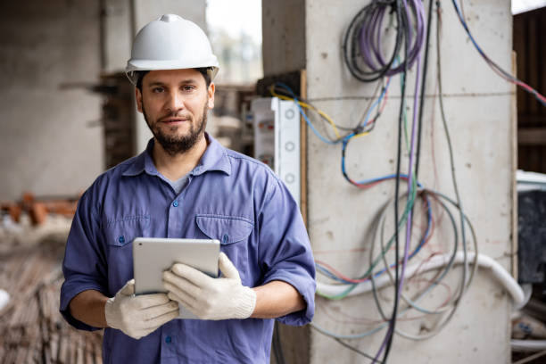 Best Electrician for Home Renovation  in Taylorvle, IL