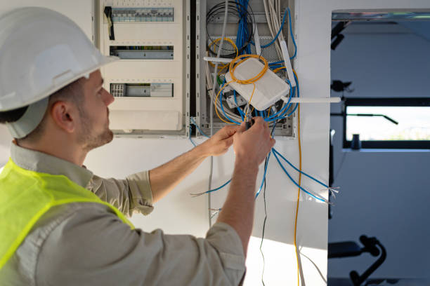 Best Residential Electrician Services  in Taylorvle, IL