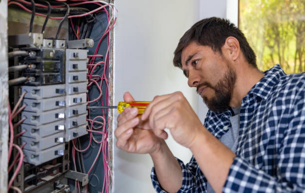 Best Generator Installation Services  in Taylorvle, IL
